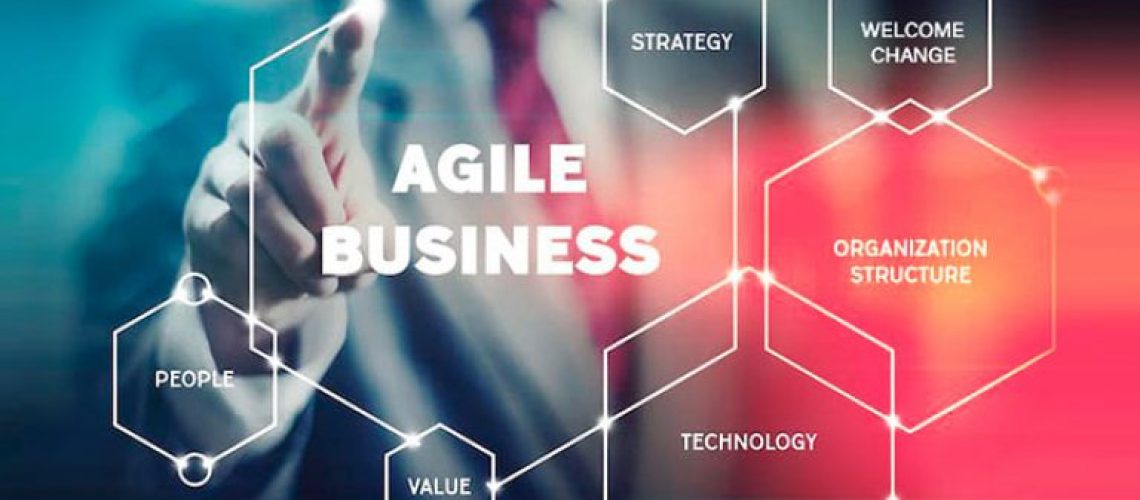 agile team